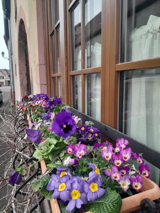 Gite Boniface Pour 2 Pers Bergheim Exterior foto